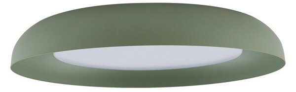 Plafoniere Lindby, Florie, Verde, Camera de zi, Plastic, Modern