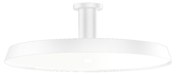 Wever & Ducré Lighting WEVER & DUCRÉ Roomor 1.0 Plafon MP alb 3,000K, reglabil, Alb, Studiu / Birou, Metal