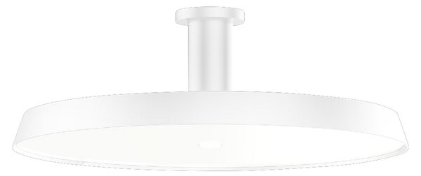 Wever & Ducré Lighting WEVER & DUCRÉ Roomor 1.0 Plafon MP alb 4,000K, reglabil, Alb, Studiu / Birou, Metal