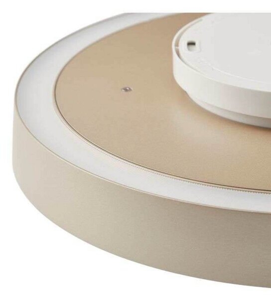 Avela aplică de perete/plafonieră Ø36 Soft Ivory
