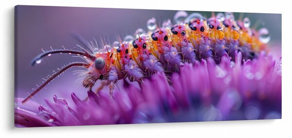 Tablou - Caterpillar (120x50 cm)