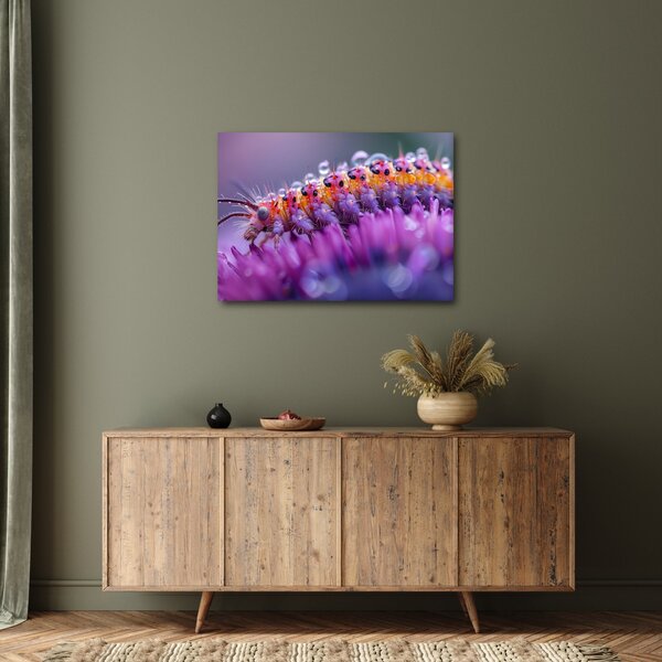 Tablou - Caterpillar (70x50 cm)