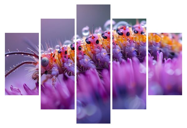 Tablou - Caterpillar (150x105 cm)