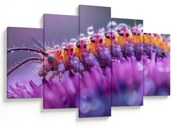 Tablou - Caterpillar (150x105 cm)