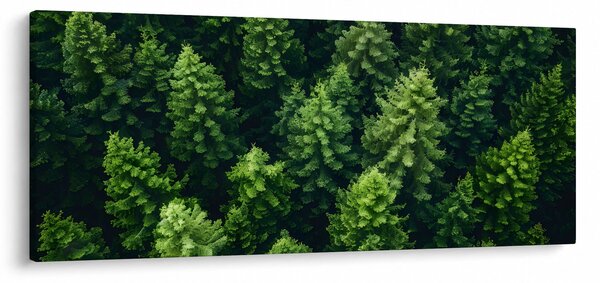 Tablou - Pădure (120x50 cm)