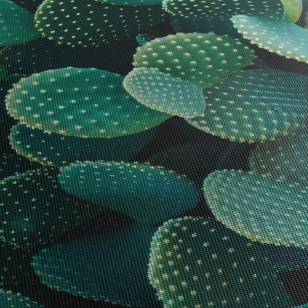Tablou - Opuntia (90x60 cm)