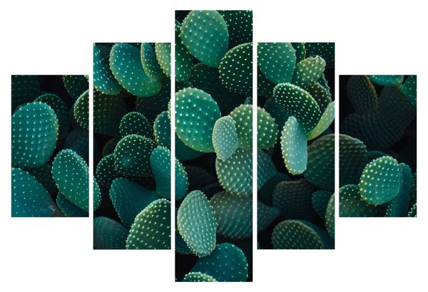 Tablou - Opuntia (150x105 cm)