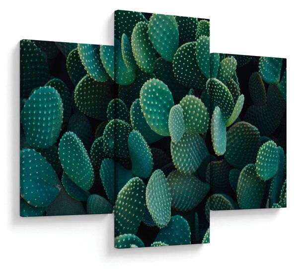 Tablou - Opuntia (90x60 cm)