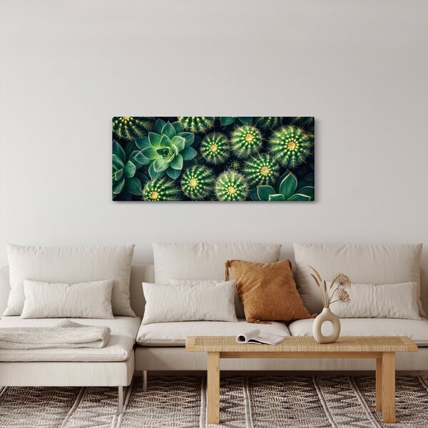 Tablou - Cactuși (120x50 cm)