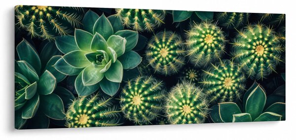 Tablou - Cactuși (120x50 cm)