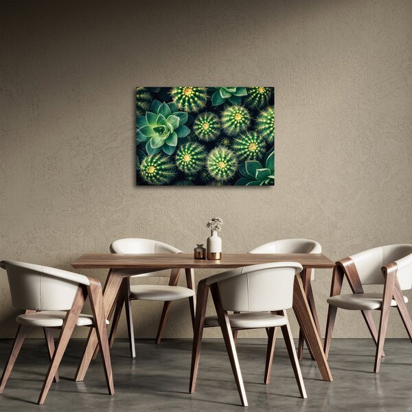 Tablou - Cactuși (70x50 cm)