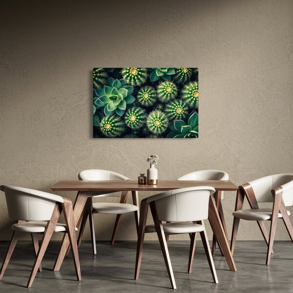 Tablou - Cactuși (90x60 cm)