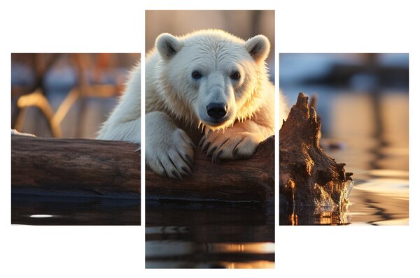 Tablou - Ursul polar (90x60 cm)