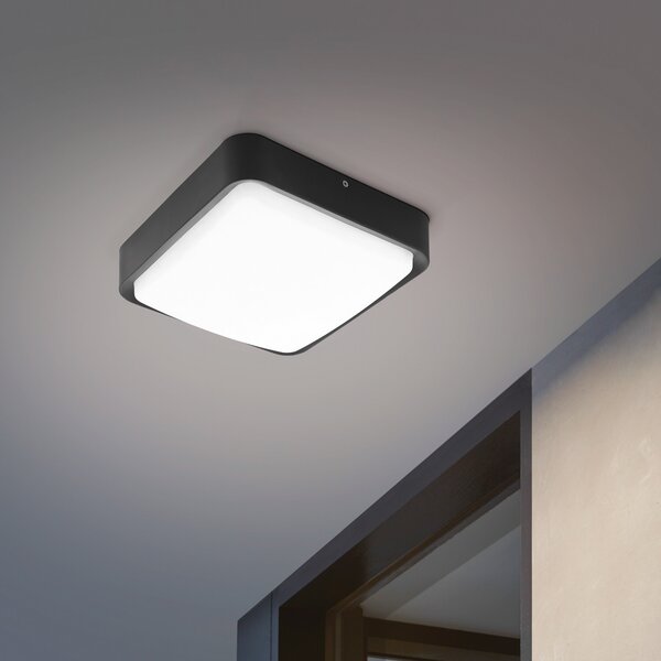 EGLO connect Piove-C aplică LED de exterior, reglabil, Negru, Metal, Modern