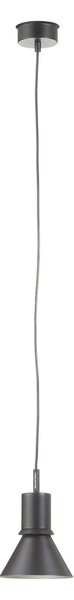 Lustră Pendul Anglepoise, Type 80, Negru, Camera de zi, Metal, Design