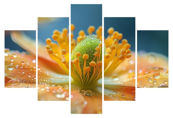 Tablou - Detaliu de floare (150x105 cm)