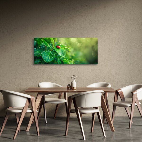 Tablou - Buburuza (120x50 cm)