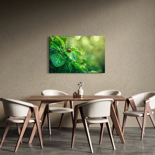 Tablou - Buburuza (90x60 cm)