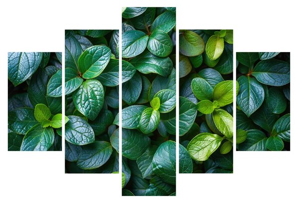 Tablou - Plante verzi (150x105 cm)