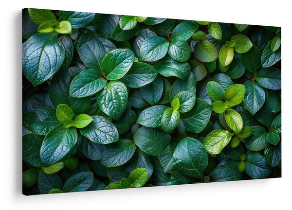 Tablou - Plante verzi (90x60 cm)