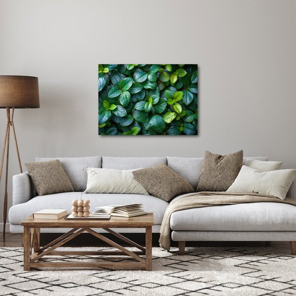 Tablou - Plante verzi (70x50 cm)