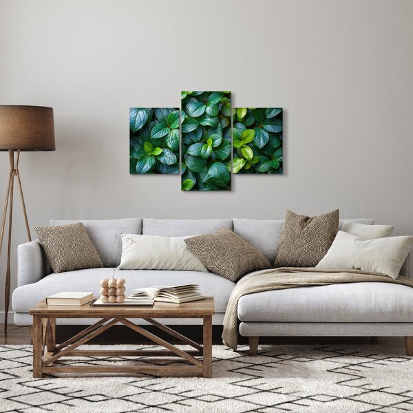 Tablou - Plante verzi (90x60 cm)