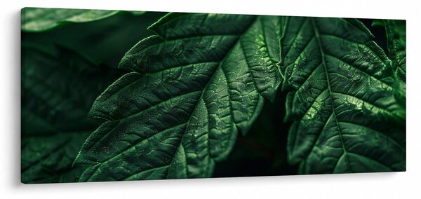 Tablou - Detaliu al foii (120x50 cm)