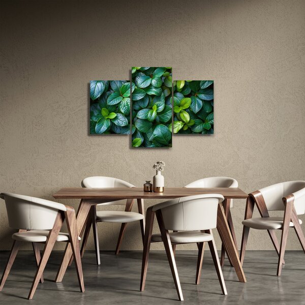 Tablou - Plante verzi (90x60 cm)