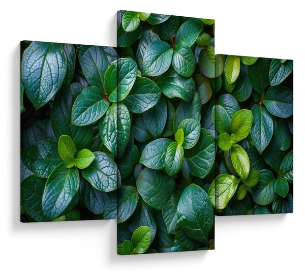 Tablou - Plante verzi (90x60 cm)