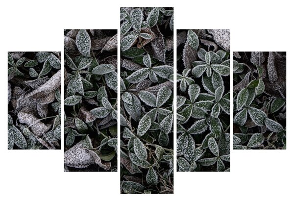 Tablou - Plante înghețate (150x105 cm)
