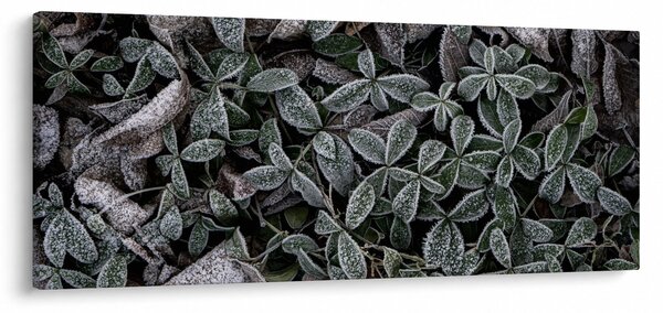 Tablou - Plante înghețate (120x50 cm)