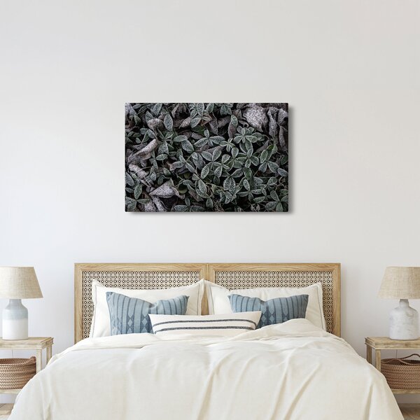 Tablou - Plante înghețate (90x60 cm)