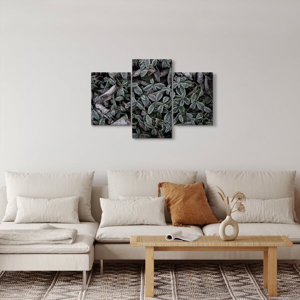 Tablou - Plante înghețate (90x60 cm)
