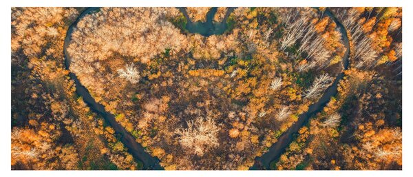 Tablou - Râu în formă de inimă (120x50 cm)