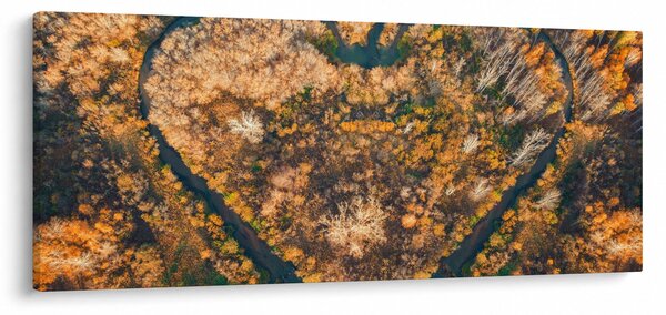 Tablou - Râu în formă de inimă (120x50 cm)