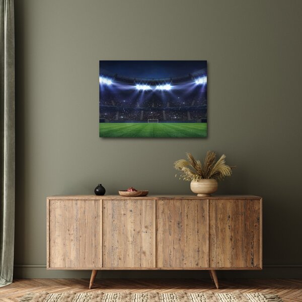 Tablou - Stadion de fotbal (70x50 cm)