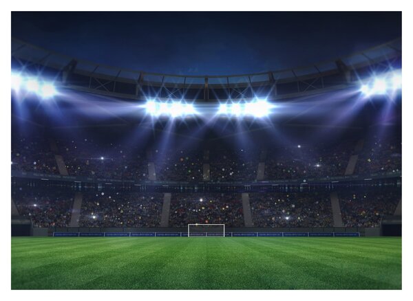 Tablou - Stadion de fotbal (70x50 cm)