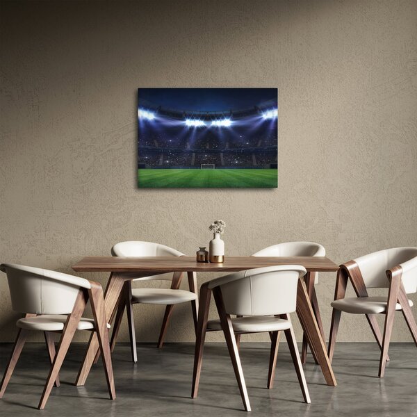 Tablou - Stadion de fotbal (70x50 cm)