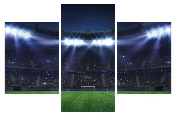 Tablou - Stadion de fotbal (90x60 cm)
