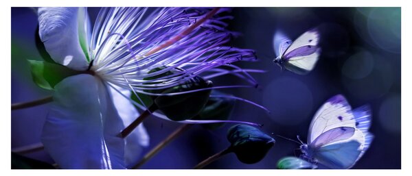 Tablou - Floare tropicală (120x50 cm)