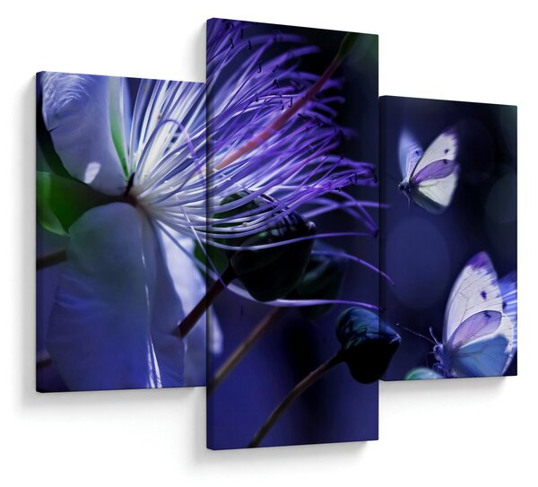 Tablou - Floare tropicală (90x60 cm)