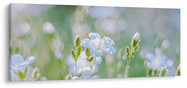 Tablou - Flori delicate (120x50 cm)