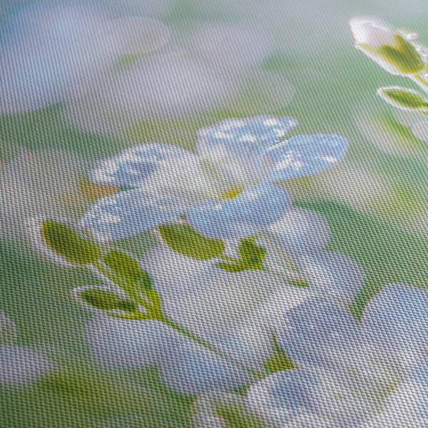 Tablou - Flori delicate (70x50 cm)
