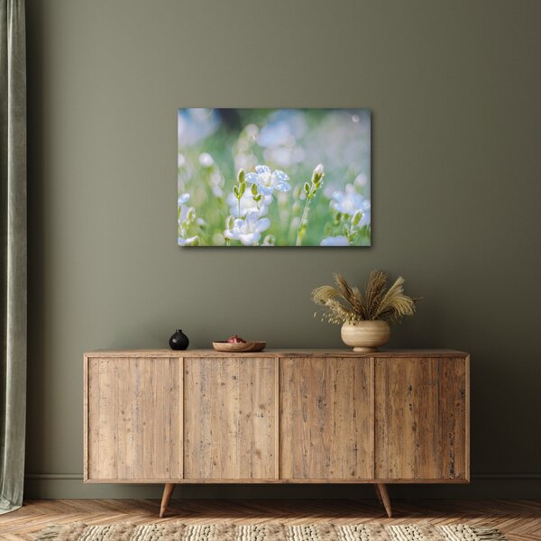 Tablou - Flori delicate (70x50 cm)