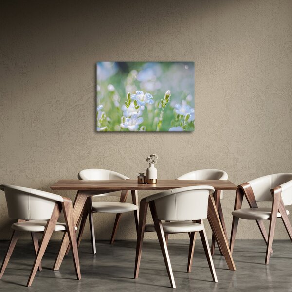 Tablou - Flori delicate (70x50 cm)