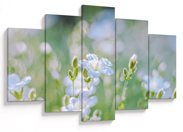 Tablou - Flori delicate (150x105 cm)