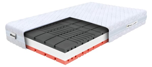 Saltea din spumă cu 2 perne Amico 140x200x22 - Husă Silver