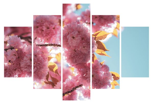Tablou - Floare de cireș (150x105 cm)