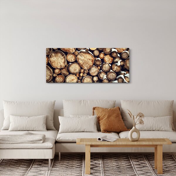 Tablou - Lemn în zăpadă (120x50 cm)