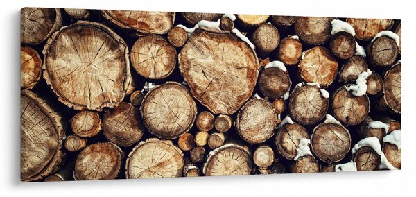 Tablou - Lemn în zăpadă (120x50 cm)